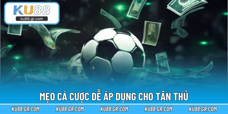 Mẹo cá cược dễ áp dụng cho tân thủ