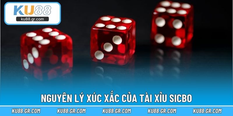 Nguyên lý xúc xắc của tài xỉu Sicbo