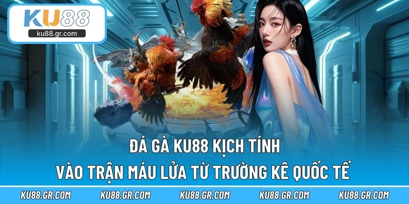 Đá gà KU88 kịch tính, vào trận máu lửa từ trường kê quốc tế 