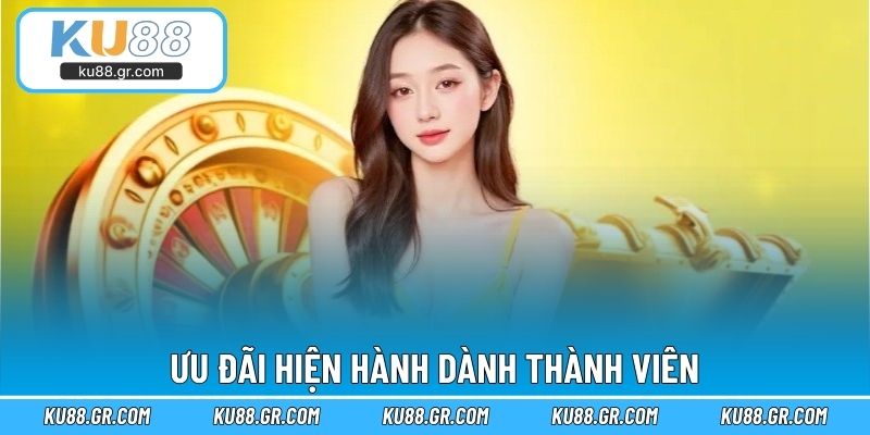 Ưu đãi hiện hành dành thành viên